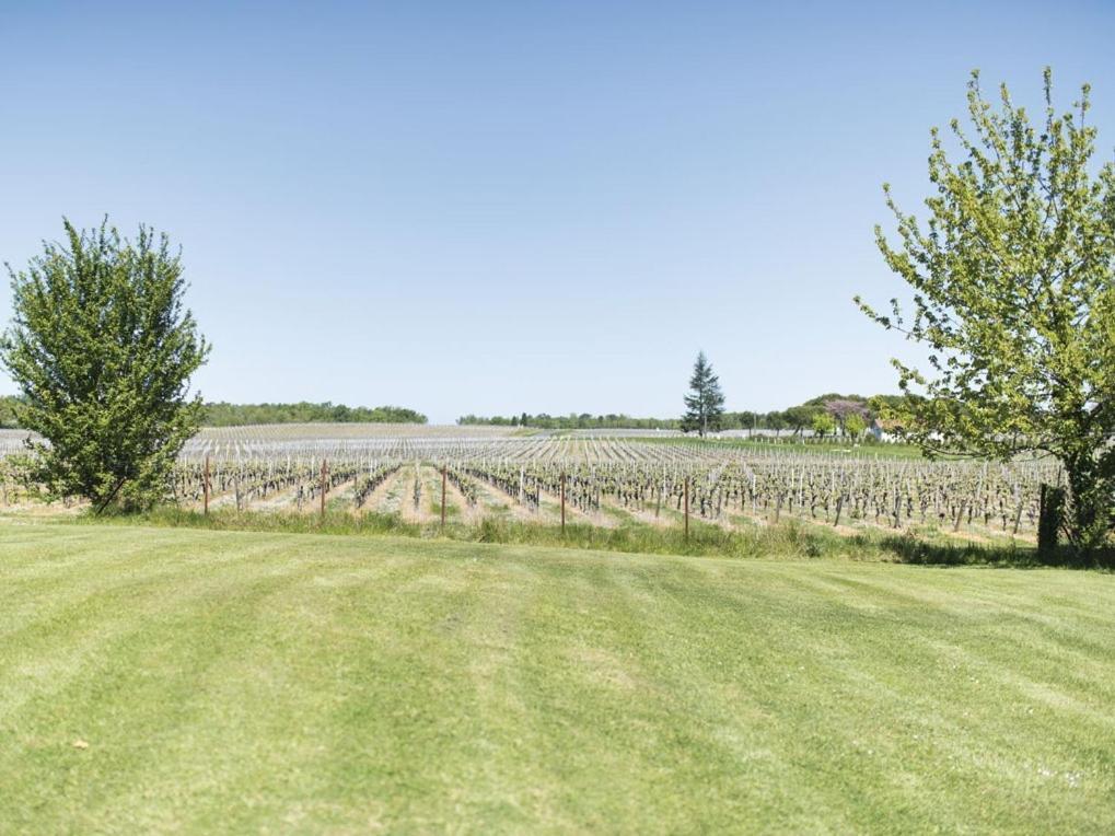 Domaine De Quittignan Brillette Hotel Moulis-en-Médoc Kültér fotó