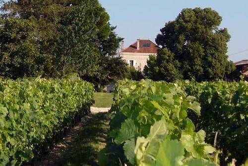 Domaine De Quittignan Brillette Hotel Moulis-en-Médoc Kültér fotó